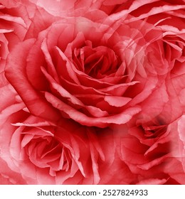 Seamless  red floral  background. Flowers  roses  and petals.  Close up.  