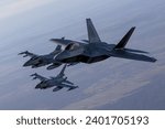 US Air Force F-22 RAPTOR fighter jets overhead Poland