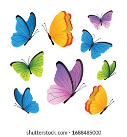 Butterflies. Cute butterflies vector set.