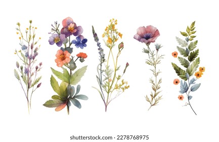 Watercolor botanical vector set. Collection of abstract spring wild flowers, grass, leaf branch, floral leaves in minimal style. Design illustration for wedding invitation, decor