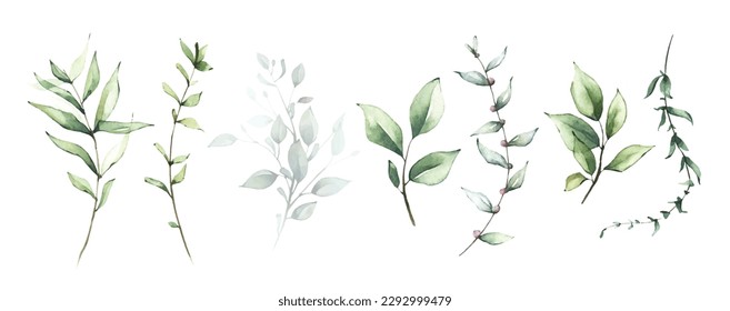 Watercolor floral set of green leaves, branches, twigs etc. Vector traced isolated greenery illustration. 